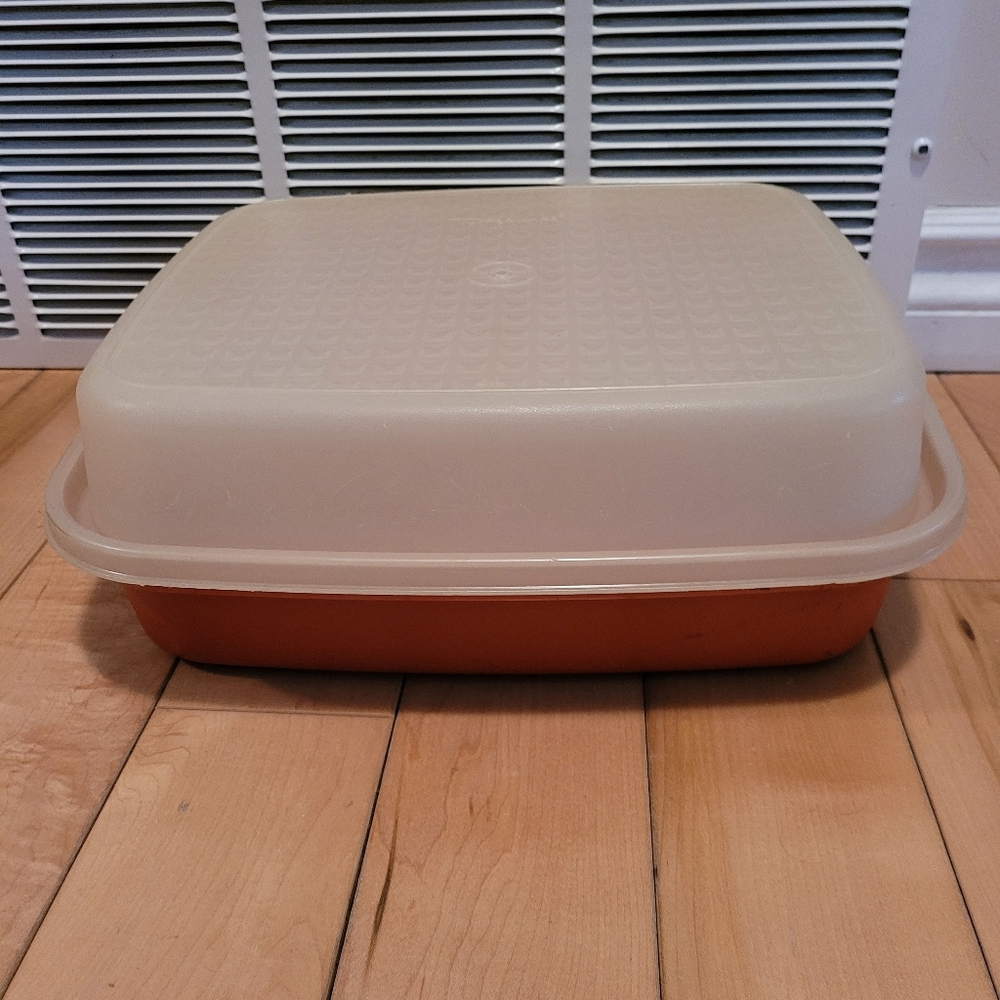 Tupperware 1294 season N serve meat marinade container